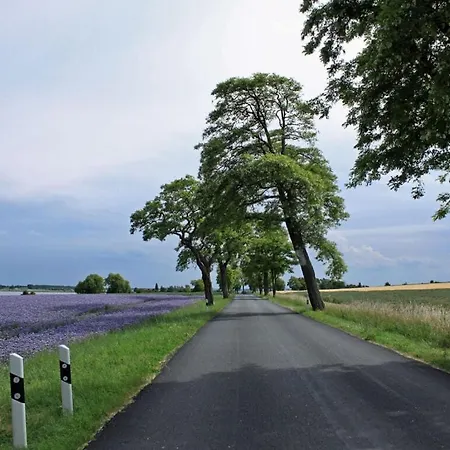 View Modern Retreat Kirchdorf (Poel)