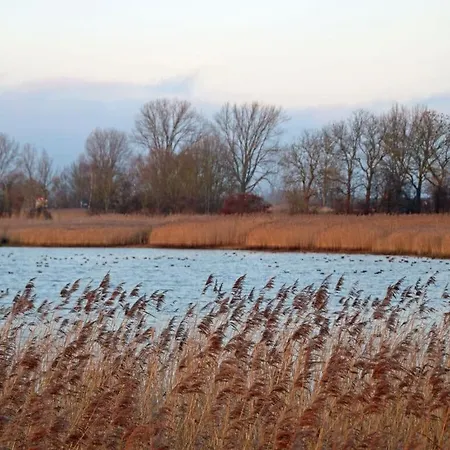 View Modern Retreat *