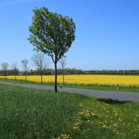 View Modern Retreat Feriehus